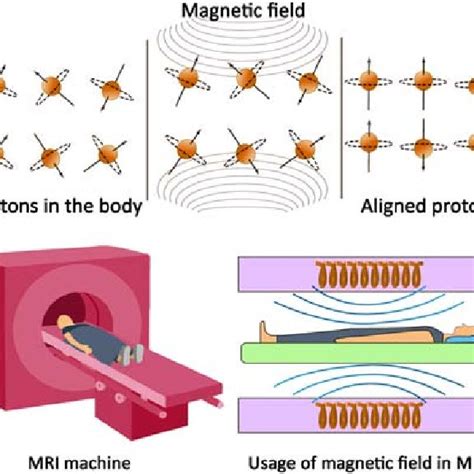 the villages magnetic resonance|Magnetic Resonance Imaging: Principles and Techniques: .